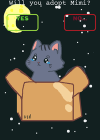 Take care of my IRL PET cat !