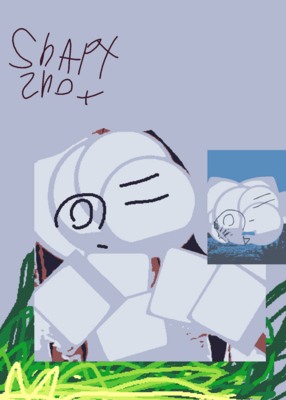 snapshot