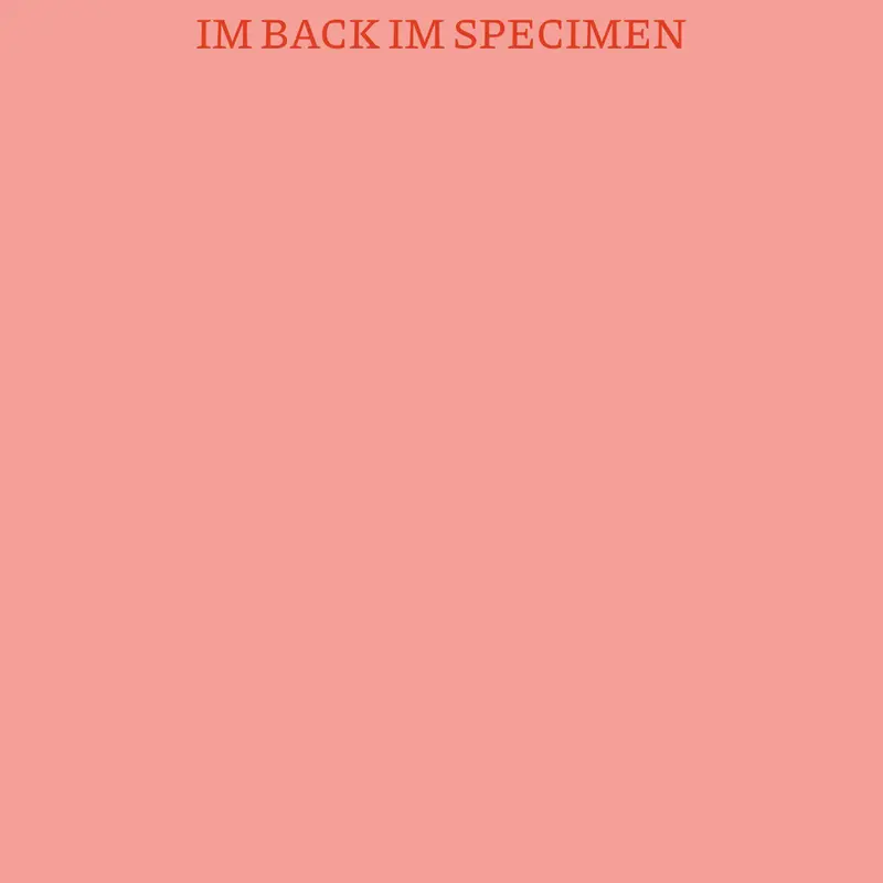 Game by @spectacles_