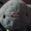 Marigold_ avatar
