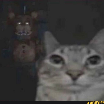 @rosethecat