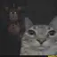 rosethecat avatar