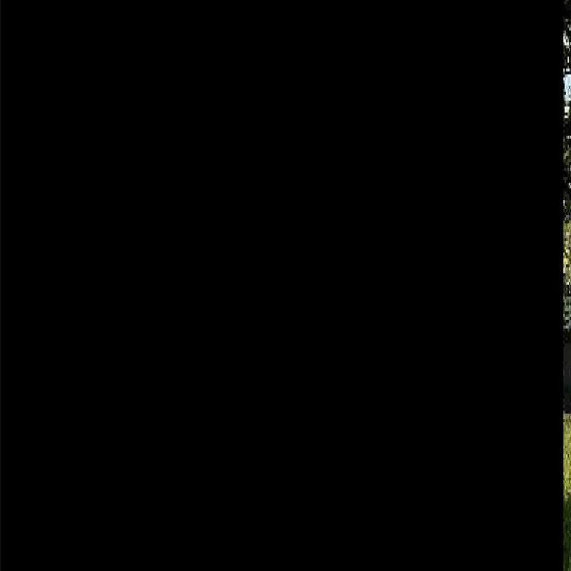 Gif by @triple_games