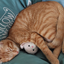 da_kat avatar