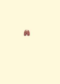 Dandysworldcocoa Cocoa game