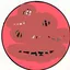 round_guy_shocked avatar