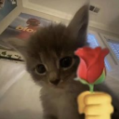 @Catguy172737373