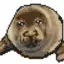 helloimoswald avatar