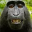yellow_larva_ole_ole_ole avatar