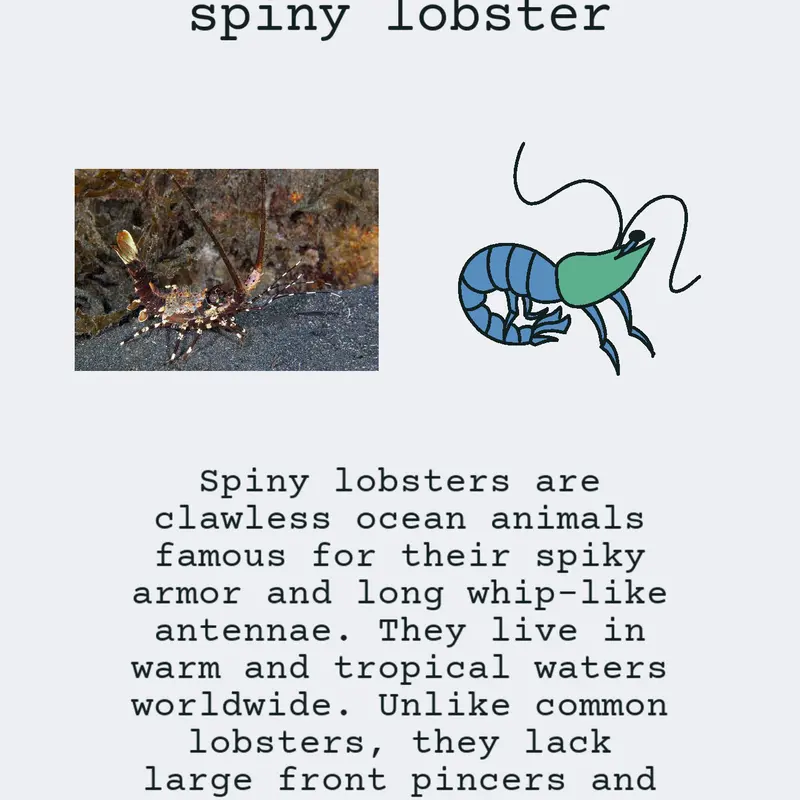 lobster by @pao0911