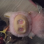 labubu192 avatar