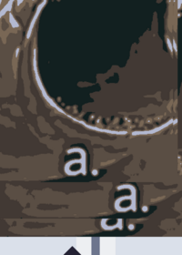 aaaaaaaaaaaaaaaaaaaaaaaaaaaaaaaaaaaaaaaaa...