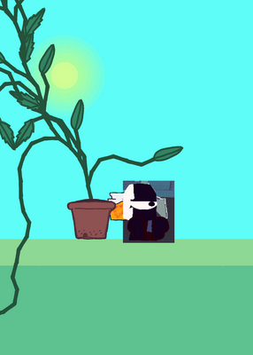 snapshot