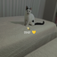 Marry_bubble_tea avatar