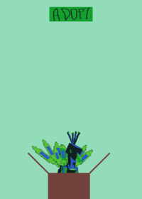 Adopt Peacock