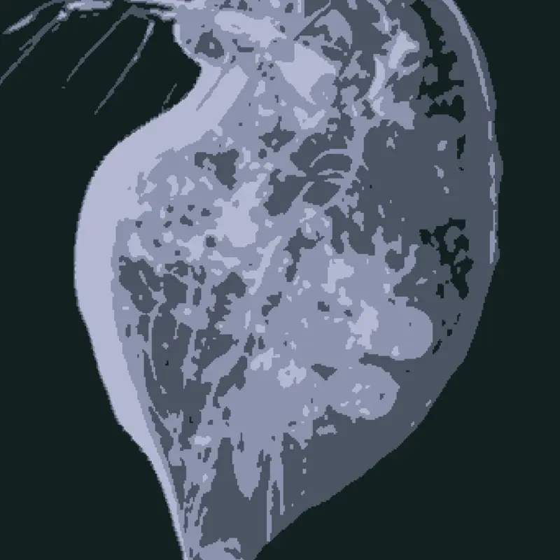 Game by @daphnia