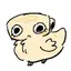 SHELLY-YUP avatar