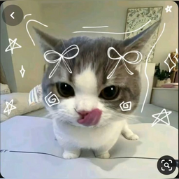 @L4v3nder