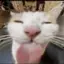 TheSprawlingIdiot avatar