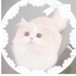 @T0MMY1NN1T