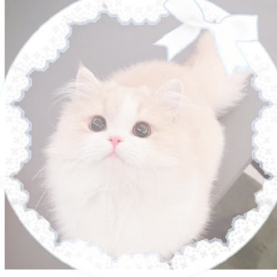 @T0MMY1NN1T