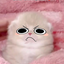BOB_555 avatar
