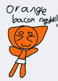 Orange bacon ragdoll!