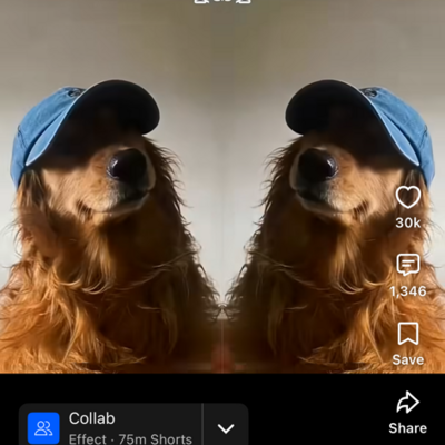 @RayRayIsthegoat