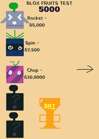 Blox Fruits Test