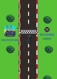 Kart Racing Pro