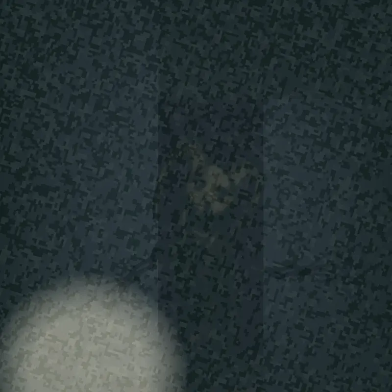 Stalker by @Stiner11