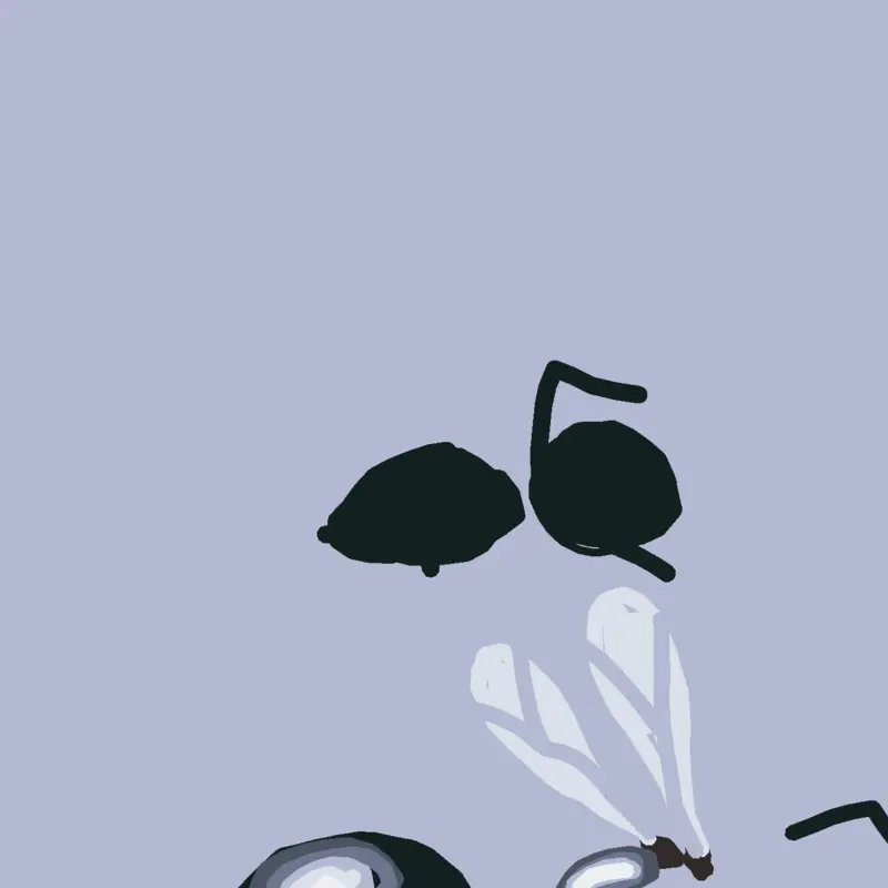 #ant by @ykmyr