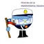 diegoxgamer avatar
