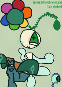 DW PUZZLE (wip)//yes,i am back to playing...