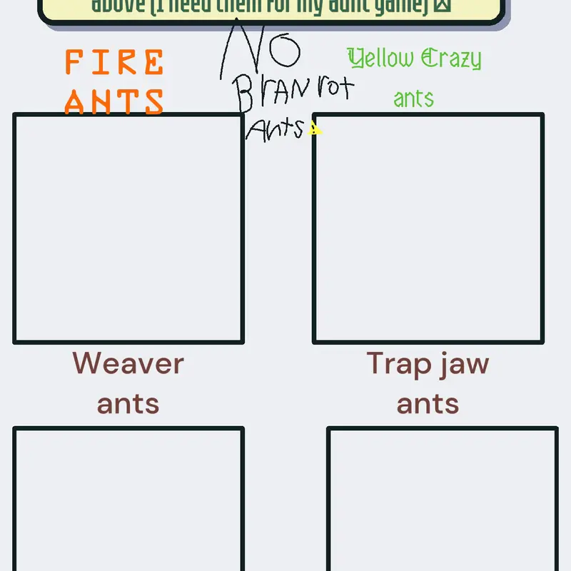 Ant by @-ant_Studios-