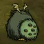 _Coconut_butter_ avatar