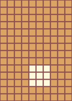 snapshot