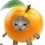 orangetree avatar