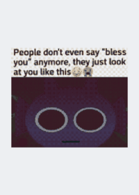 Durple ragdoll