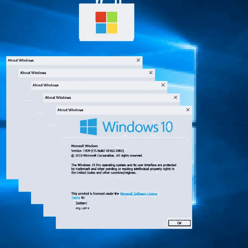 About windows by @SenorL_2026_MC