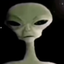 giobab_studios avatar