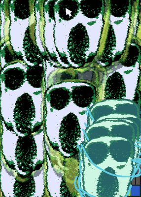 snapshot