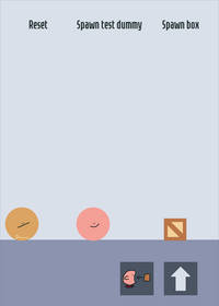 Kirby Swallow Test