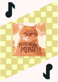 Montagem miau