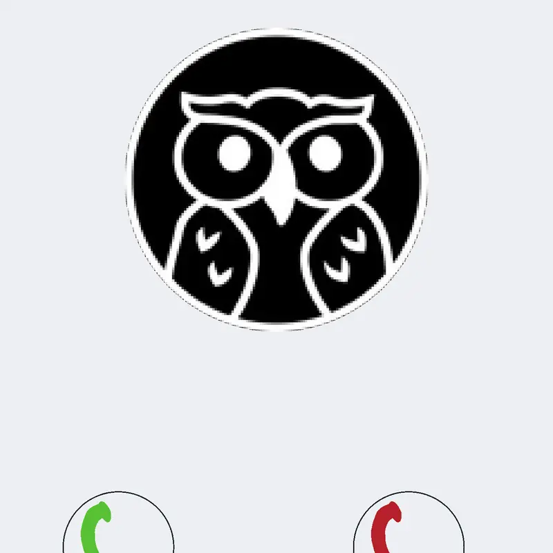 Call yourself, don't click the red icon. by @DanielYT_Oficial