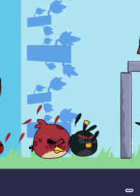 Chaotic birds