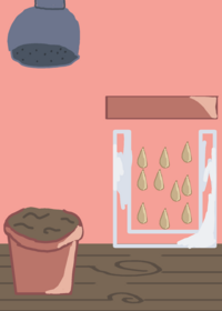 grow a flower