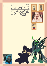 Caseohs kitty ragdoll :)))