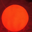 happy_fox avatar
