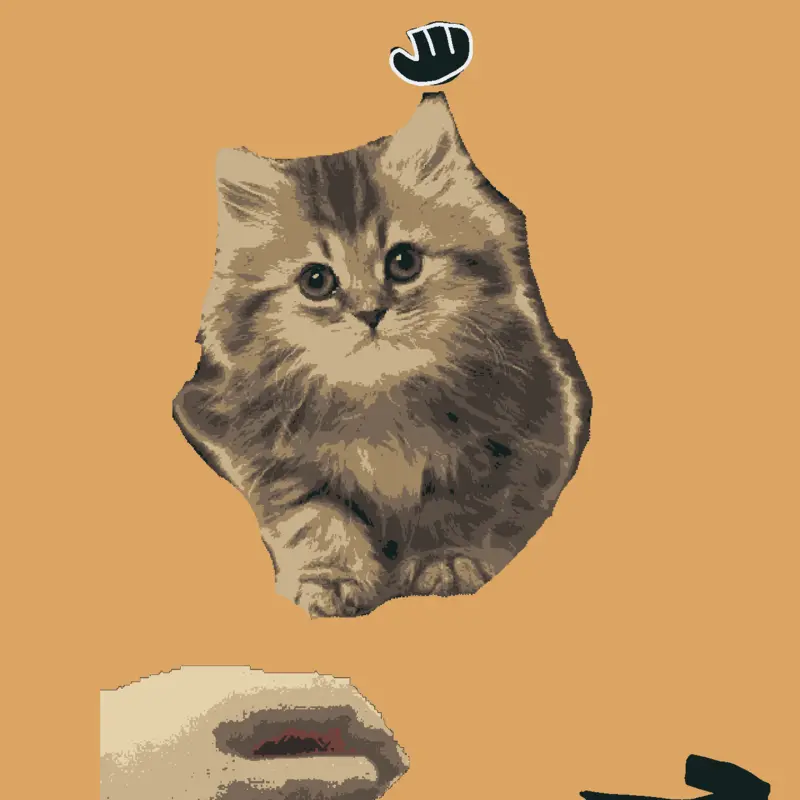 Cat simulator! #kitty #kitten #cute by @SSight